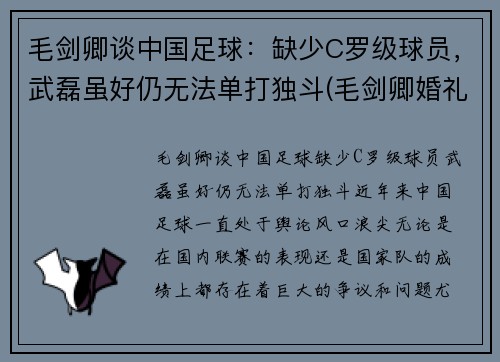 毛剑卿谈中国足球：缺少C罗级球员，武磊虽好仍无法单打独斗(毛剑卿婚礼)