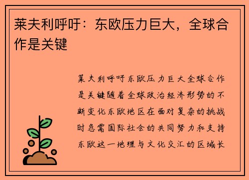 莱夫利呼吁：东欧压力巨大，全球合作是关键