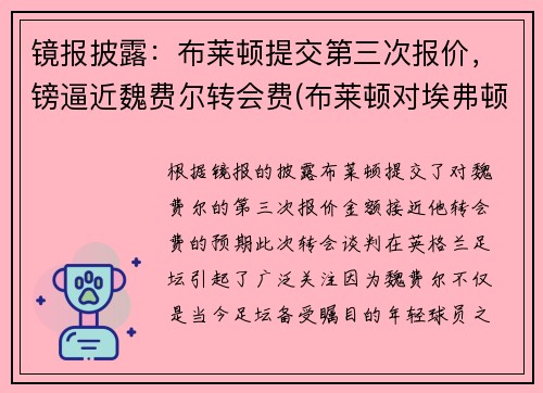 镜报披露：布莱顿提交第三次报价，镑逼近魏费尔转会费(布莱顿对埃弗顿比分预测)